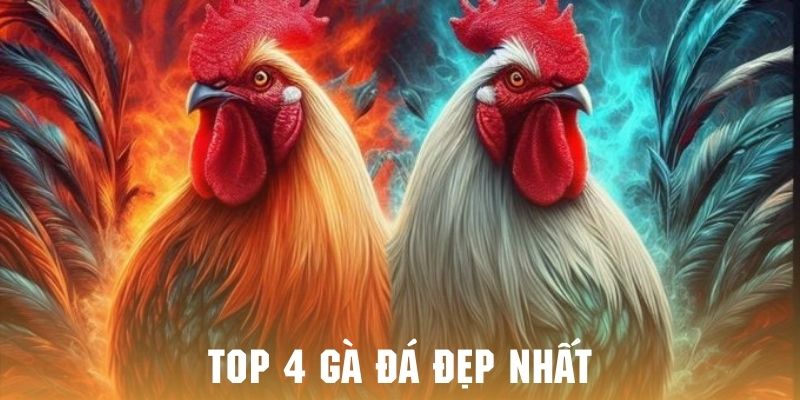 Giới thiệu top 4 chiến kê được đánh giá đẹp nhất tại nền tảng J88